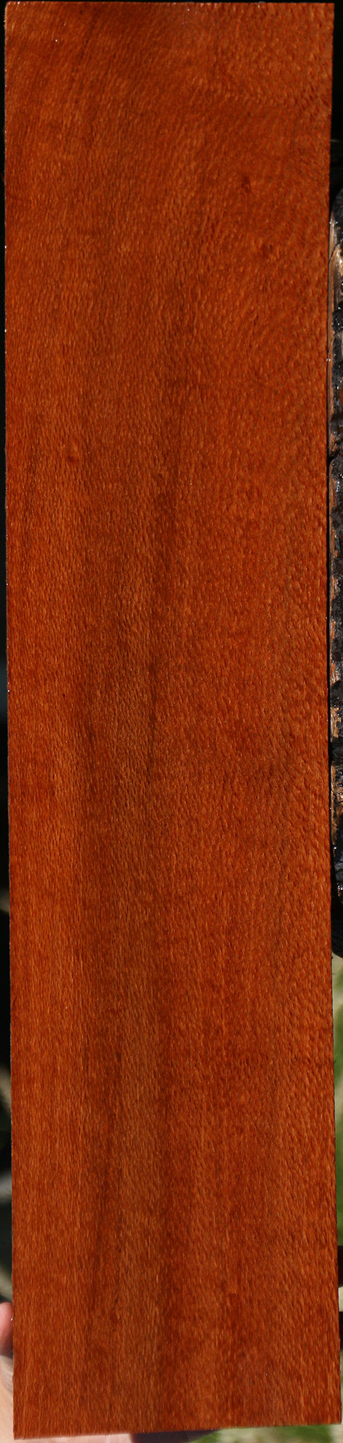Leopardwood Lumber