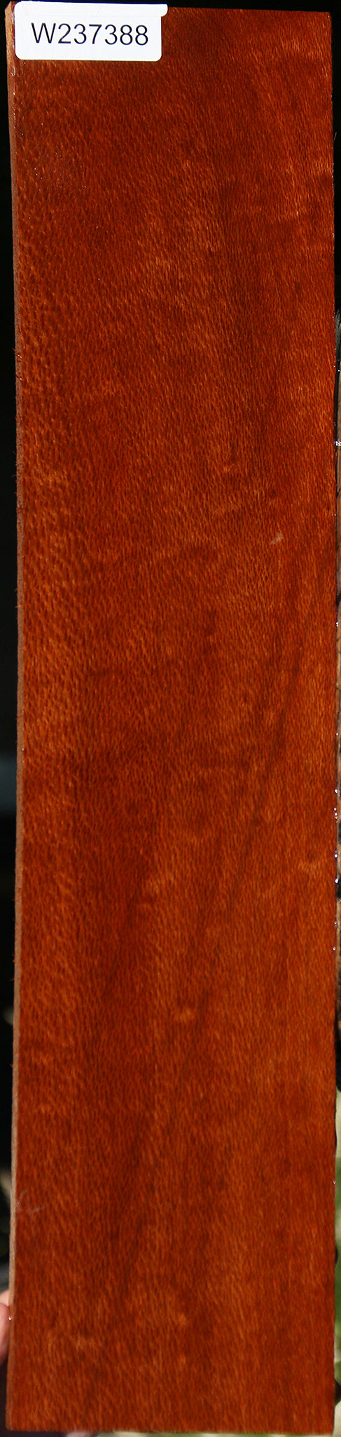 Leopardwood Lumber