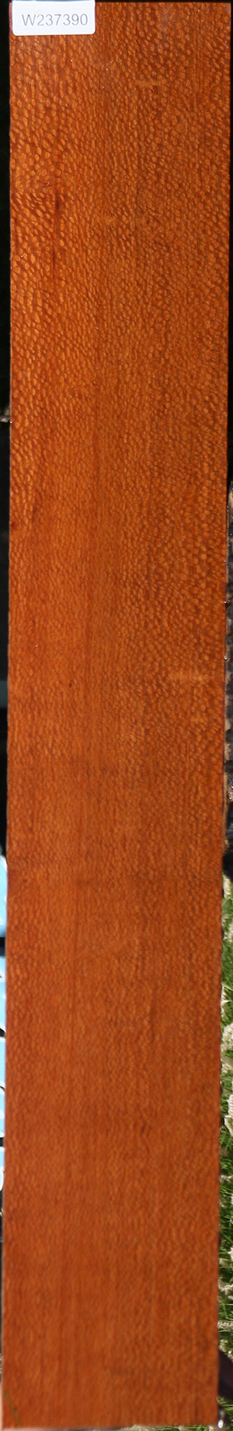Figured Leopardwood Lumber