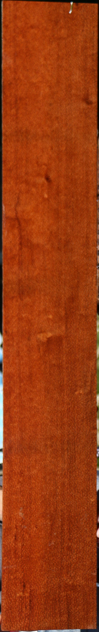 Figured Leopardwood Lumber