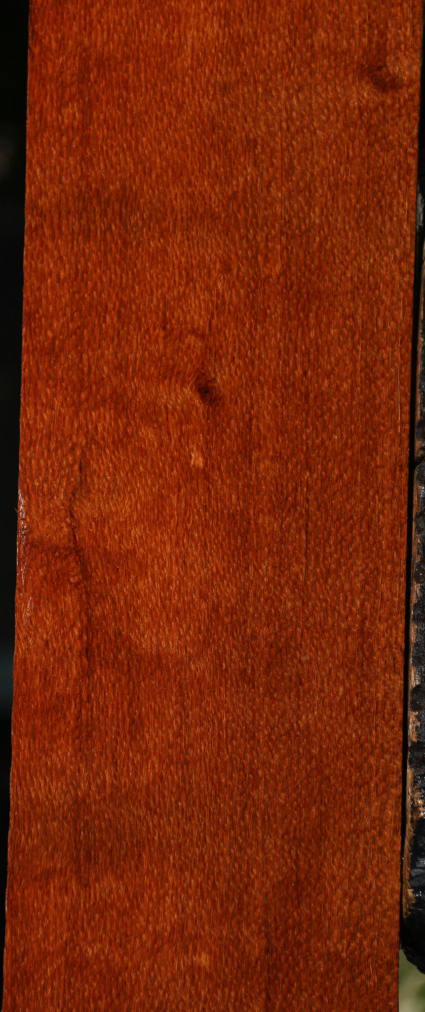 Figured Leopardwood Lumber