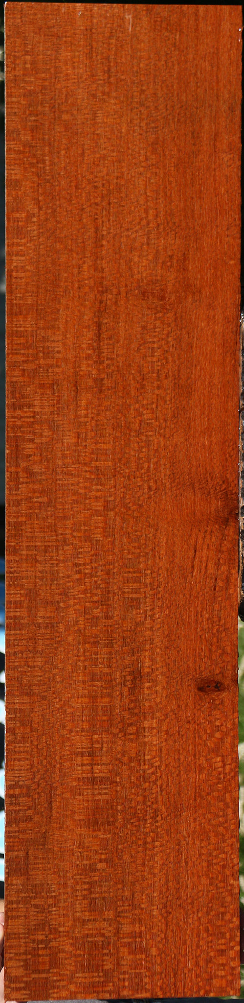 Extra Fancy Leopardwood Lumber