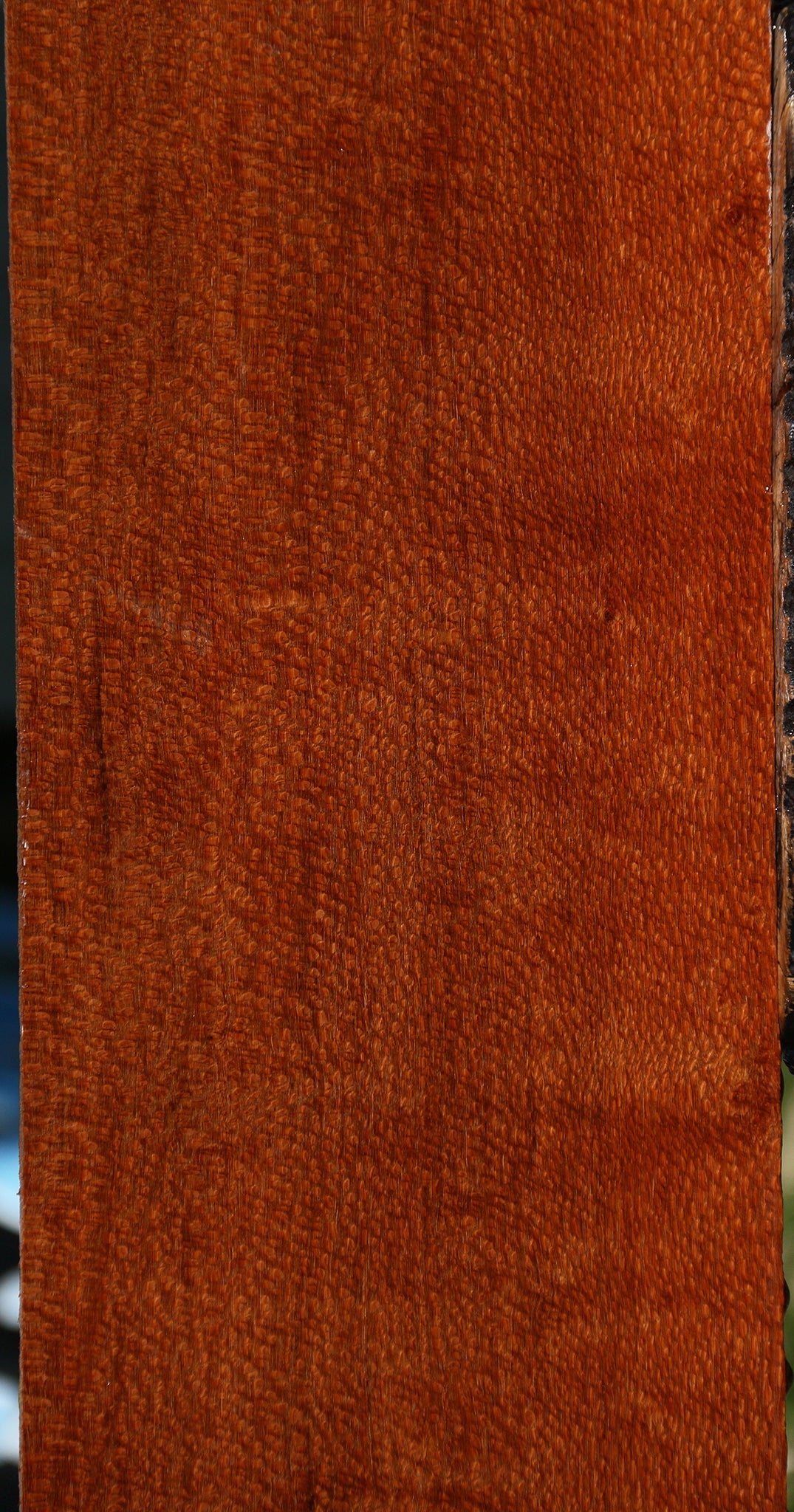 Extra Fancy Leopardwood Lumber