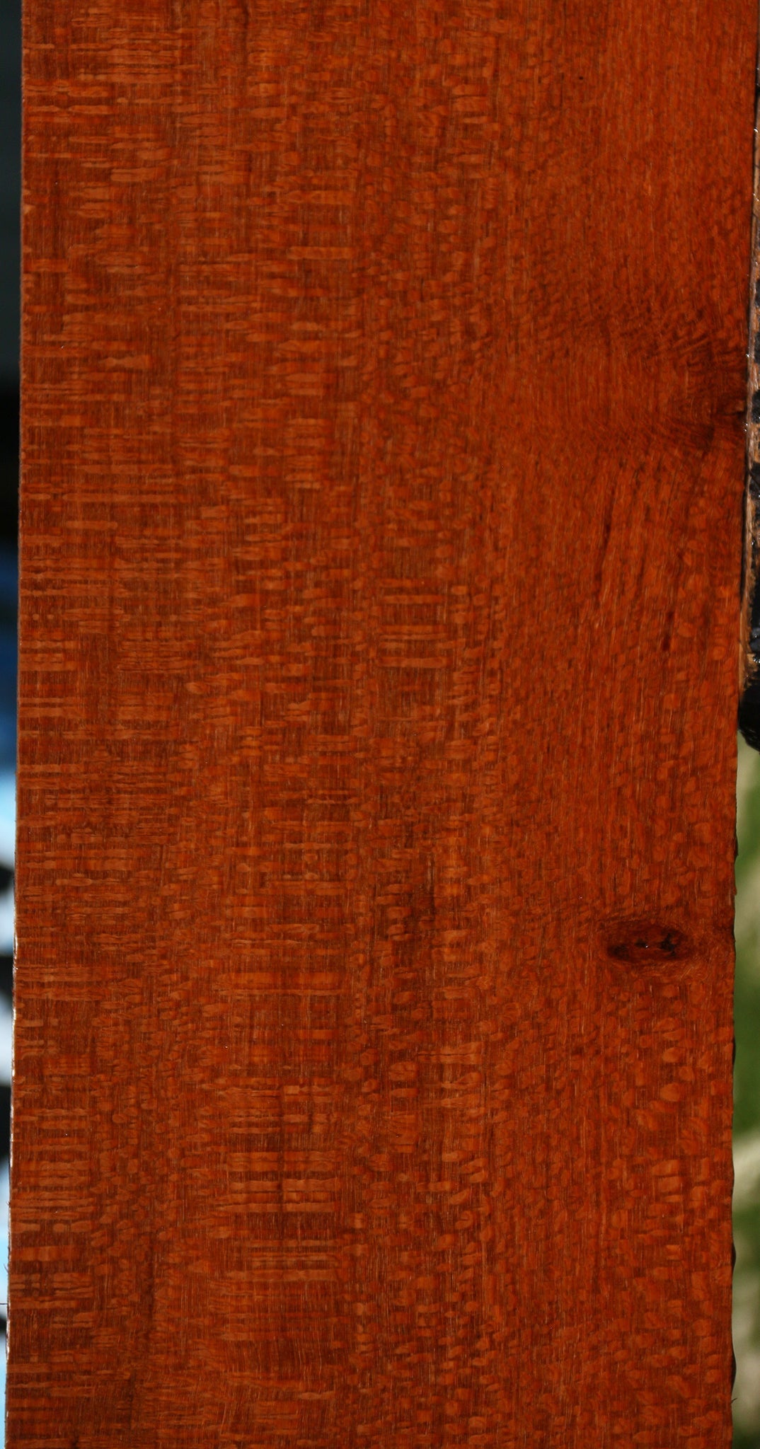 Extra Fancy Leopardwood Lumber