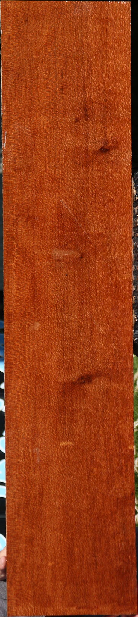 Extra Fancy Leopardwood Lumber