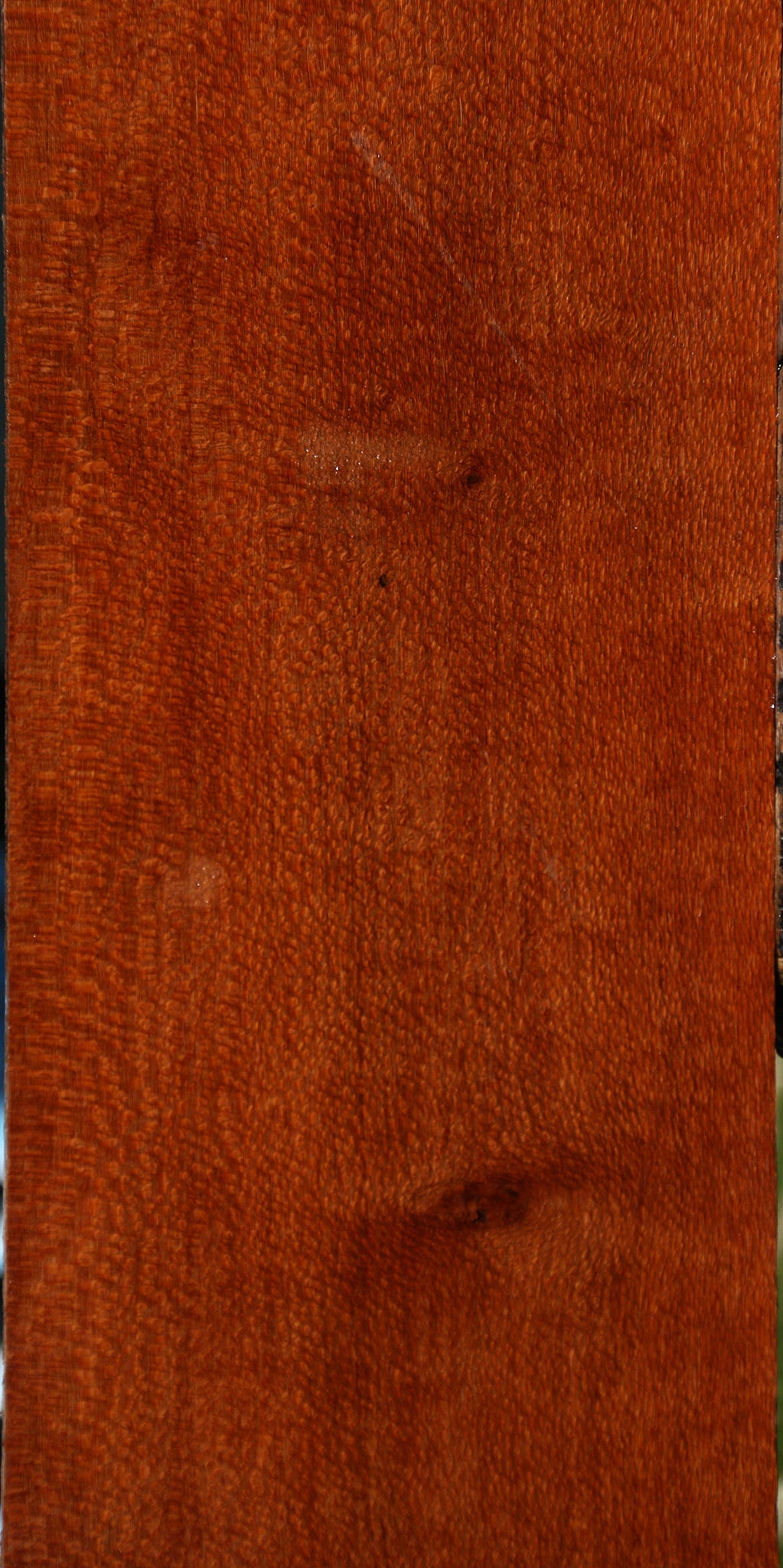 Extra Fancy Leopardwood Lumber