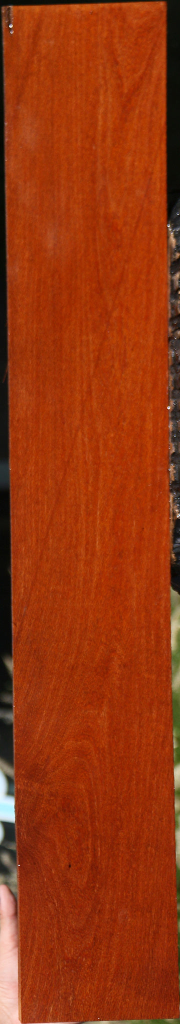 Leopardwood Lumber