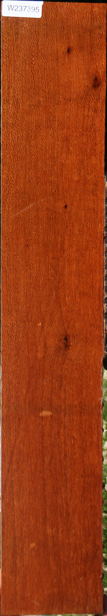 Figured Leopardwood Lumber