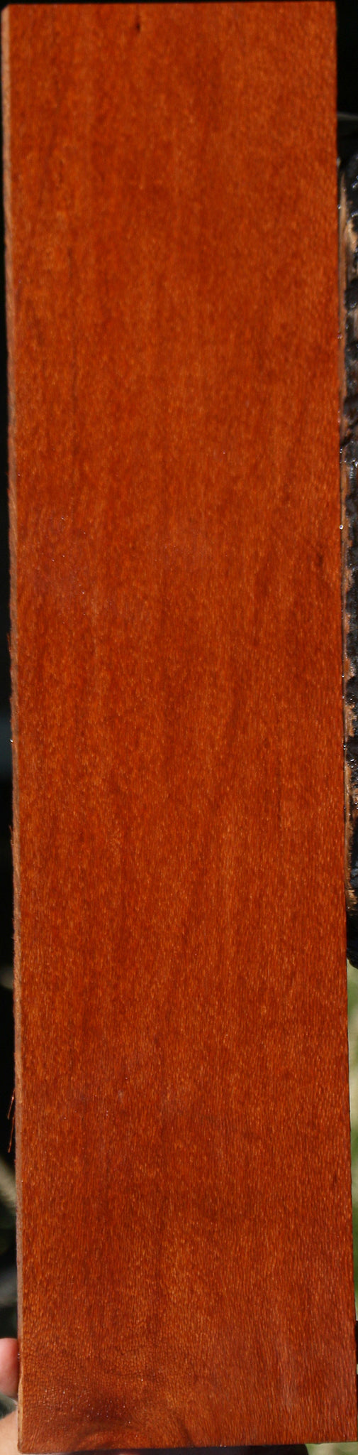 Leopardwood Lumber
