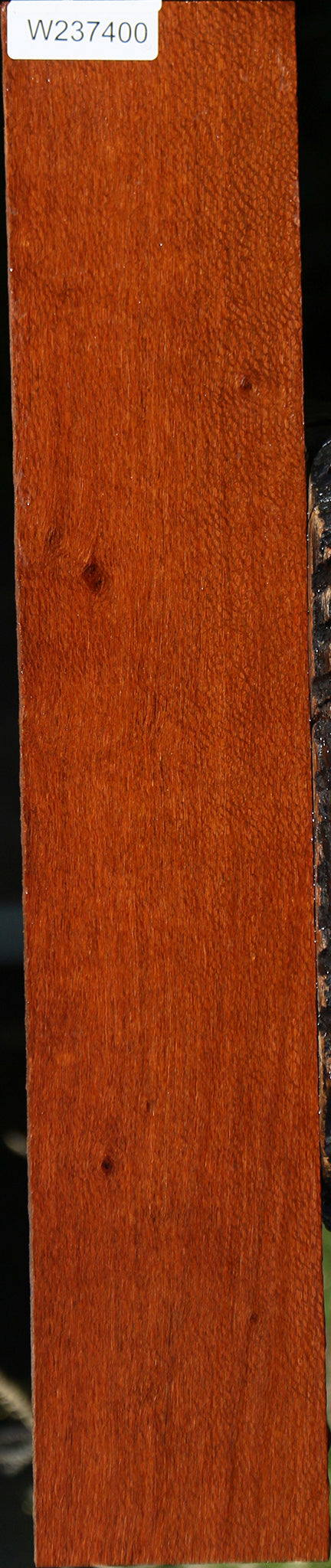 Leopardwood Lumber
