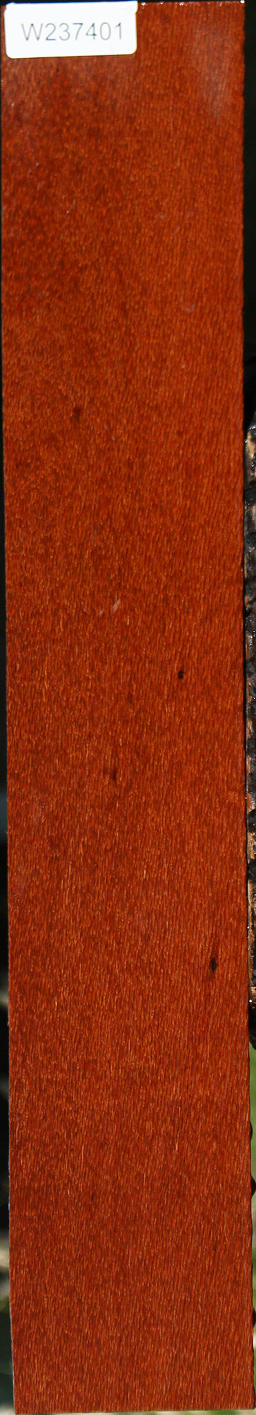 Figured Leopardwood Lumber