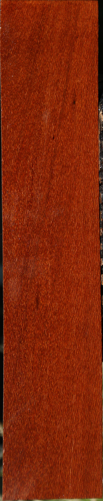 Leopardwood Lumber