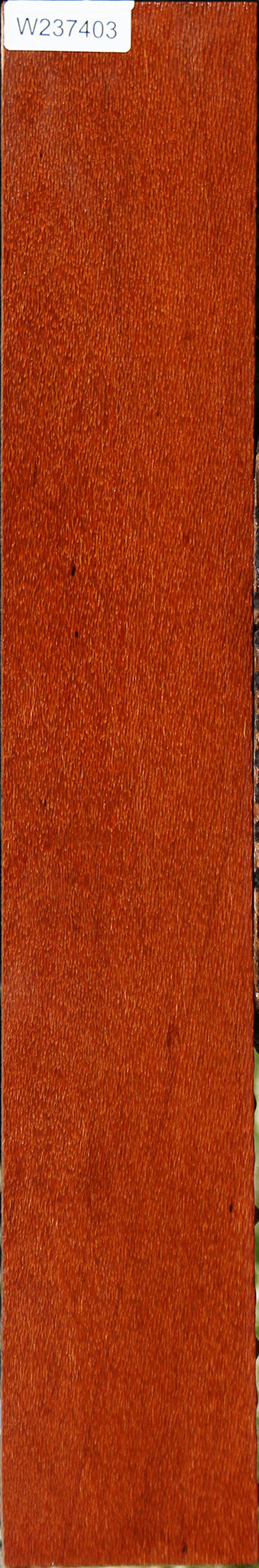 Leopardwood Lumber