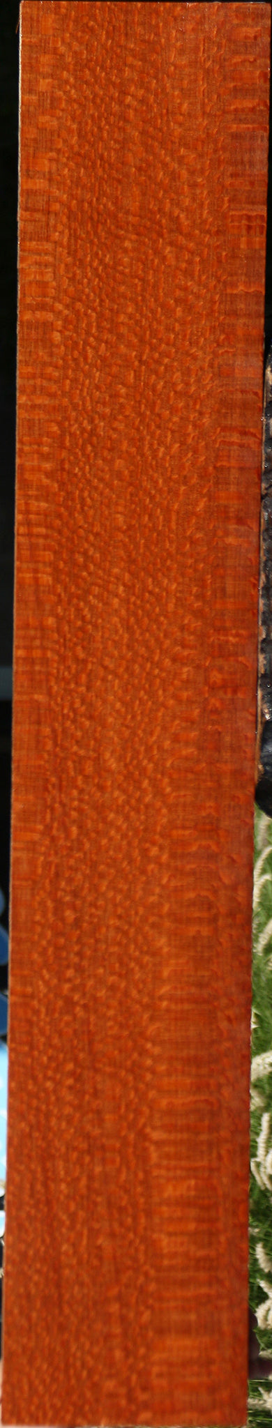 Extra Fancy Leopardwood Lumber