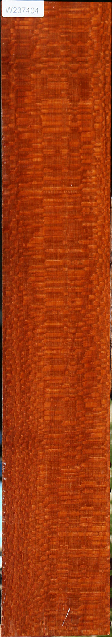 Extra Fancy Leopardwood Lumber