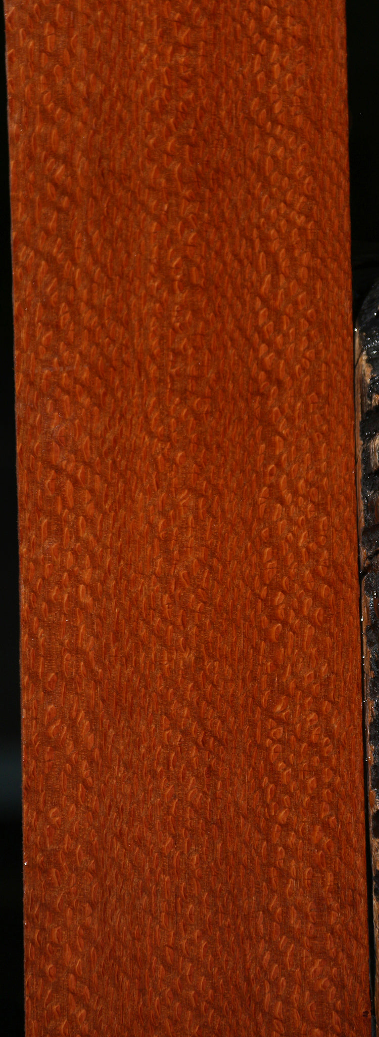 Extra Fancy Leopardwood Lumber