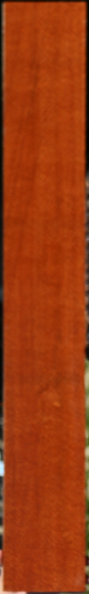 Extra Fancy Leopardwood Lumber