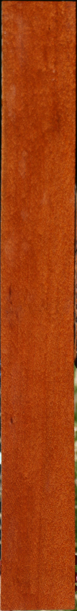 Leopardwood Lumber