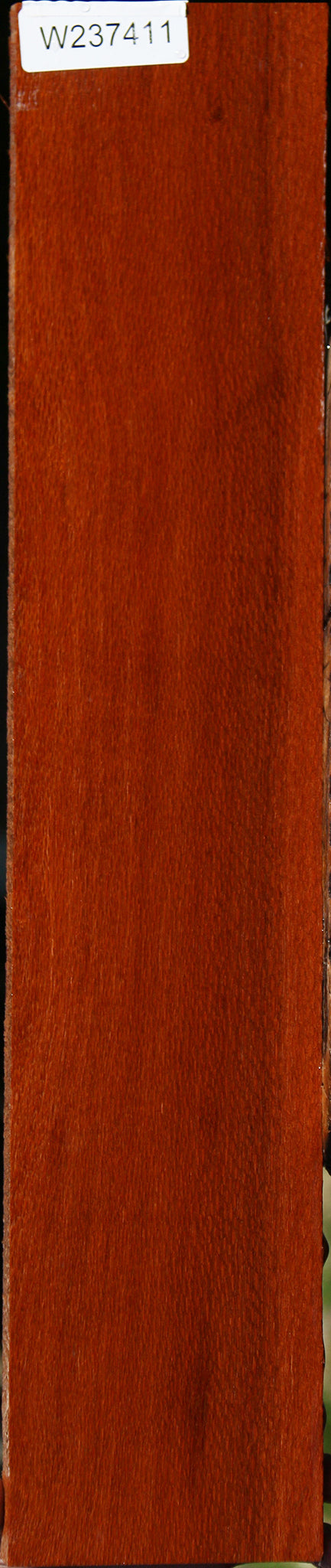 Leopardwood Lumber