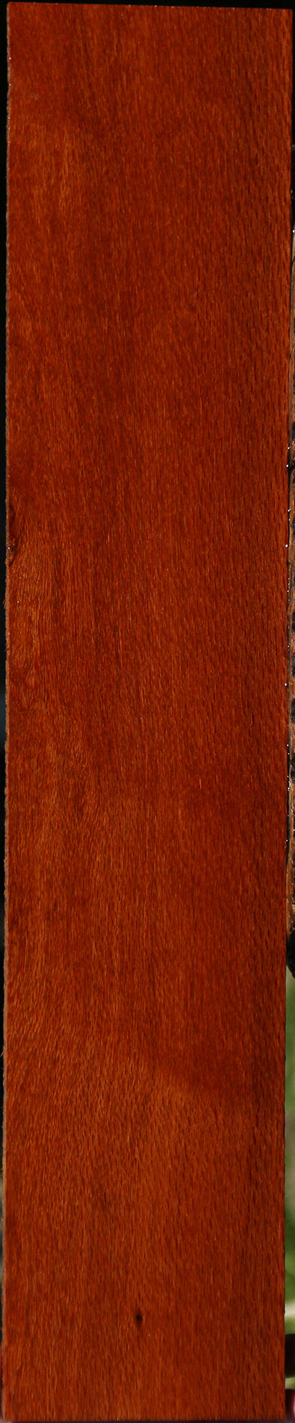 Leopardwood Lumber