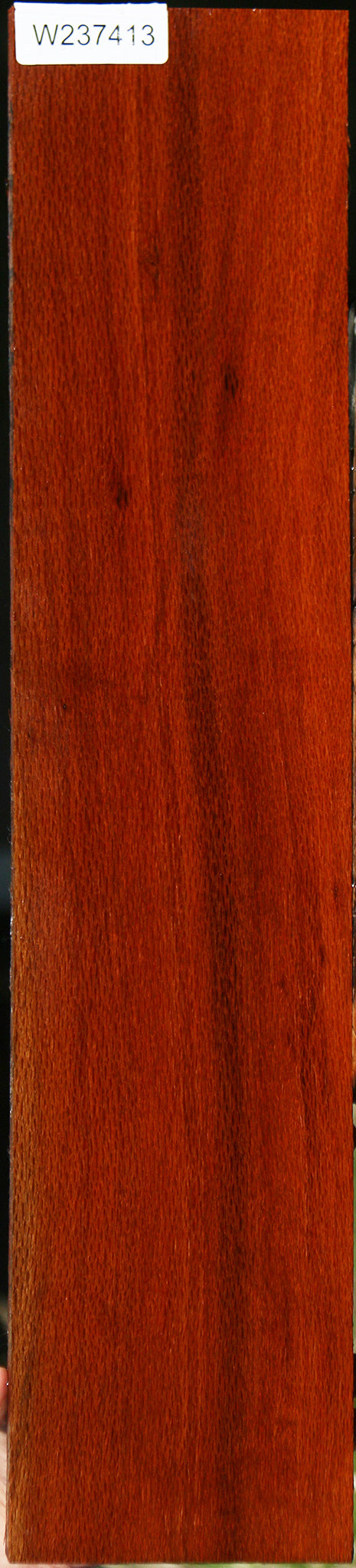 Leopardwood Lumber