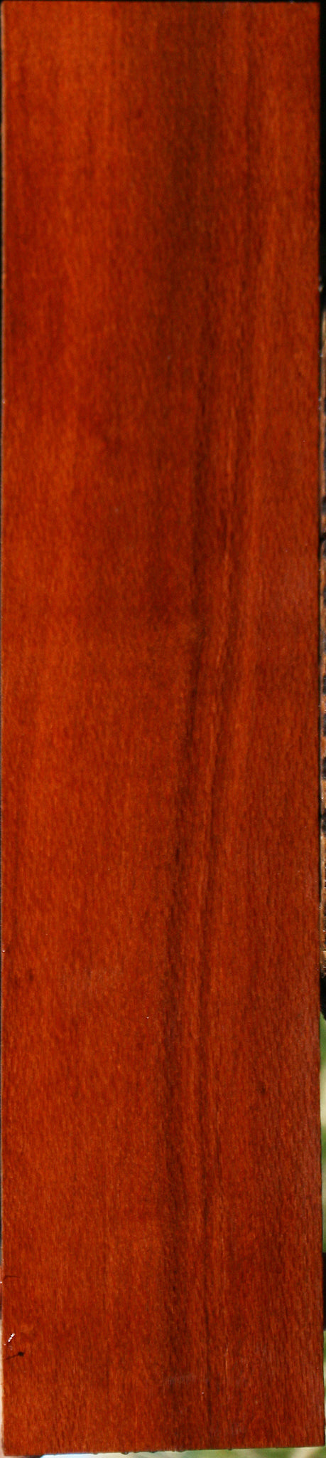 Leopardwood Lumber