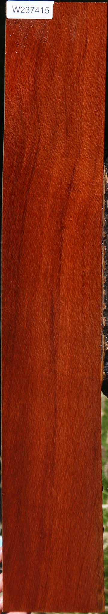 Leopardwood Lumber