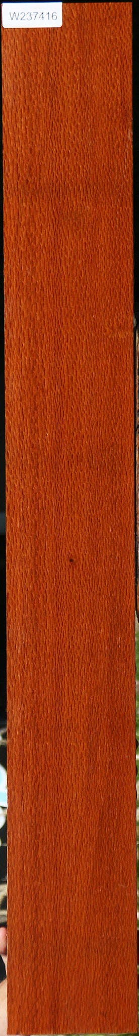 Figured Leopardwood Lumber