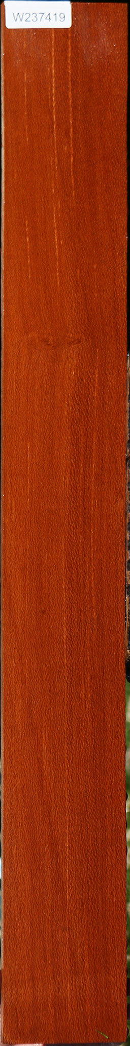 Figured Leopardwood Lumber