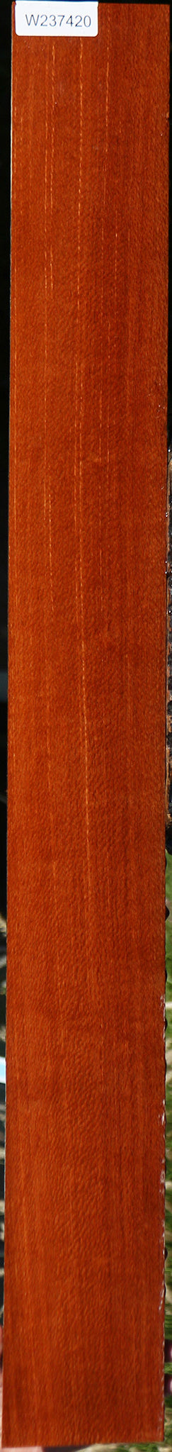 Figured Leopardwood Lumber