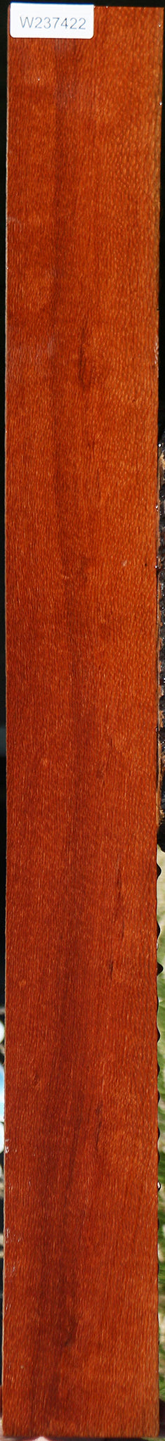 Figured Leopardwood Lumber