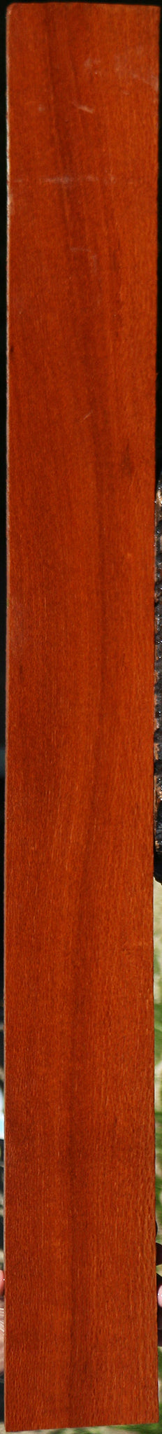 Figured Leopardwood Lumber