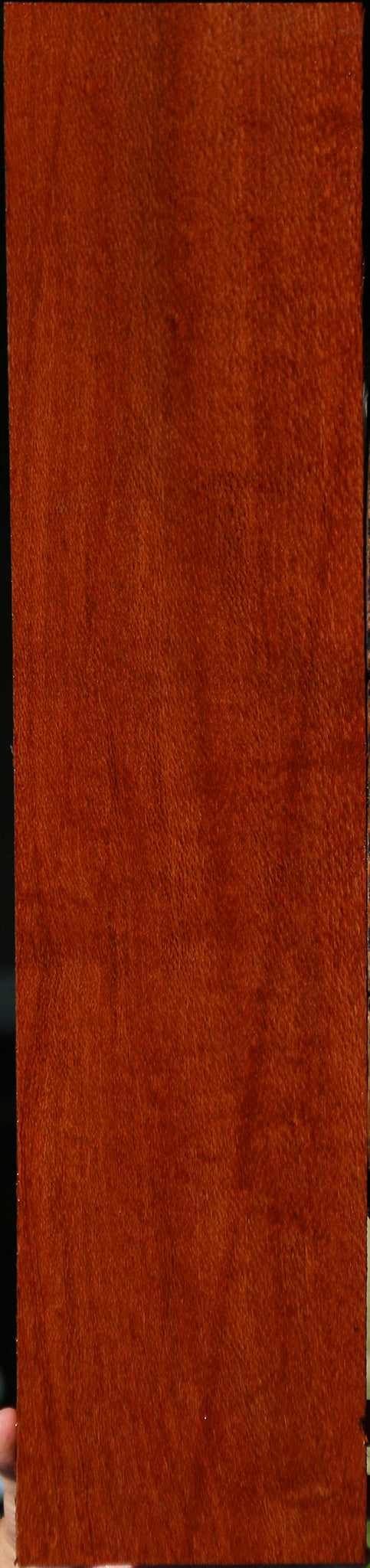 Leopardwood – Cook Woods