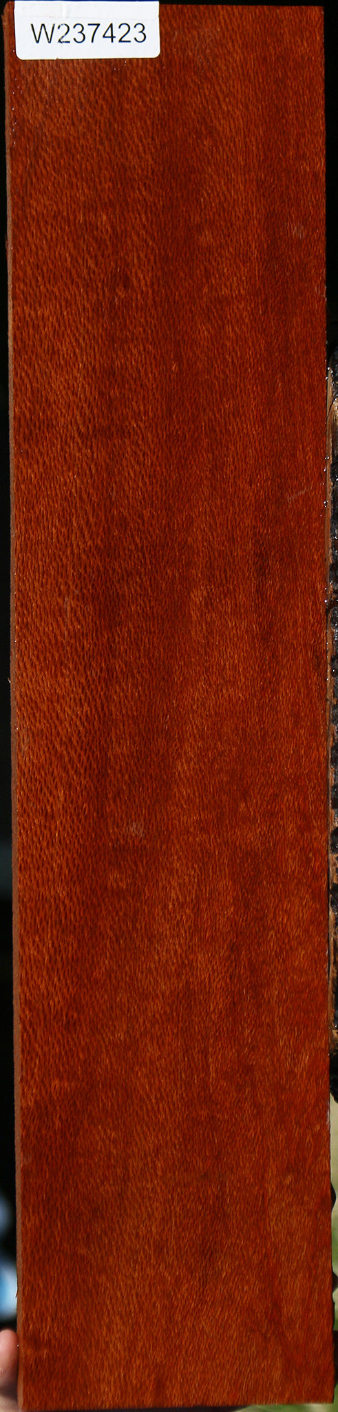 Leopardwood Lumber