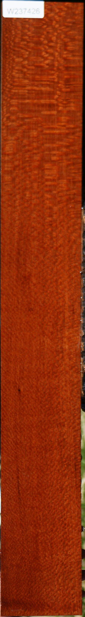 Extra Fancy Leopardwood Lumber