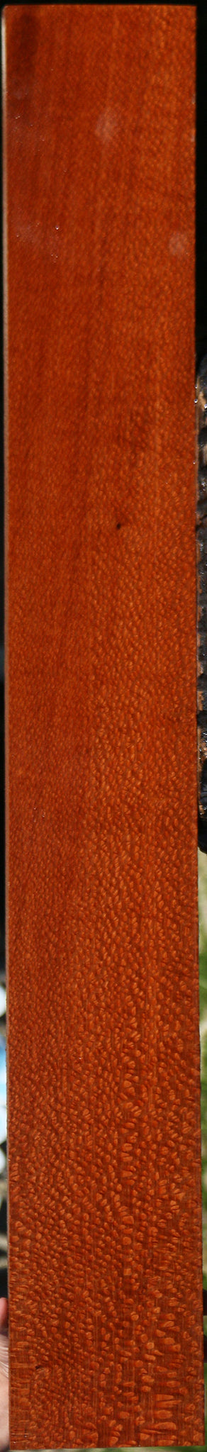 Extra Fancy Leopardwood Lumber