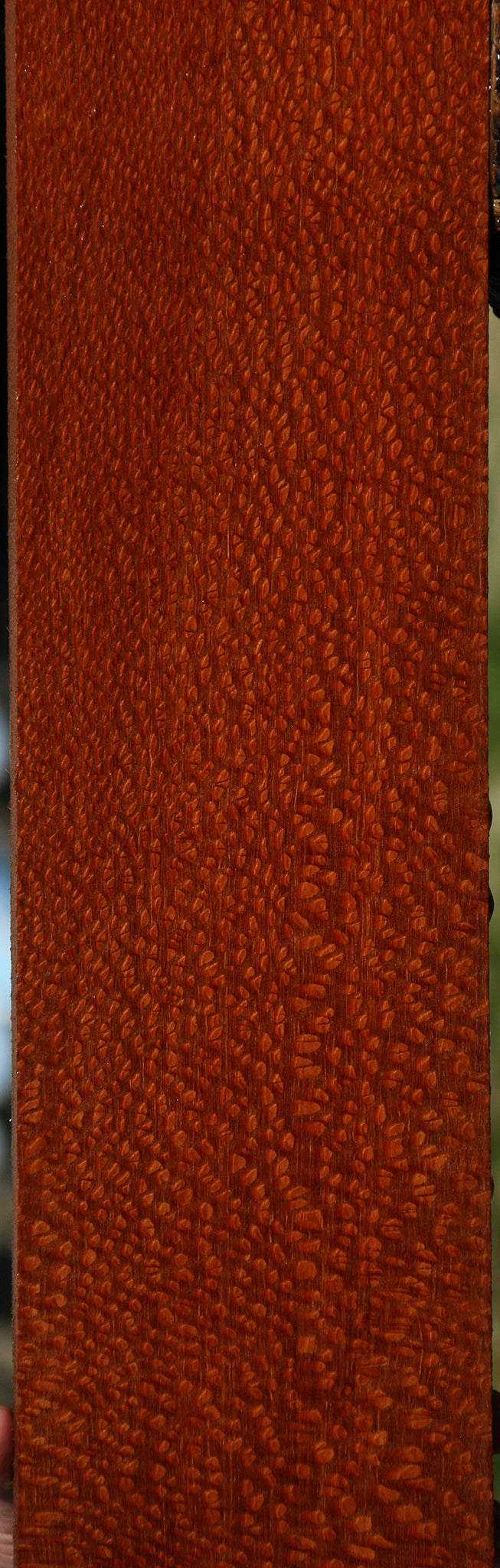 Extra Fancy Leopardwood Lumber