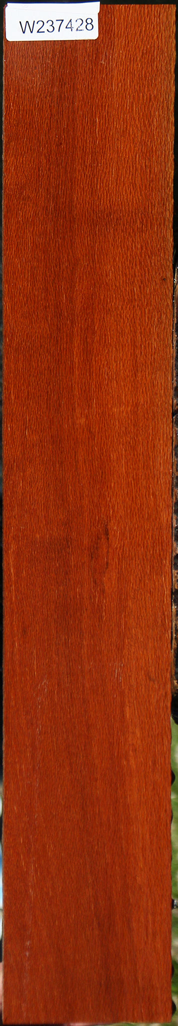 Leopardwood Lumber