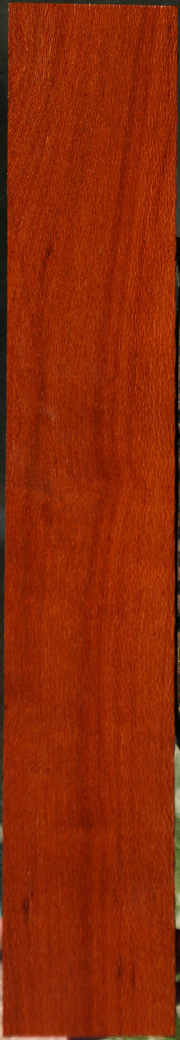 Leopardwood Lumber