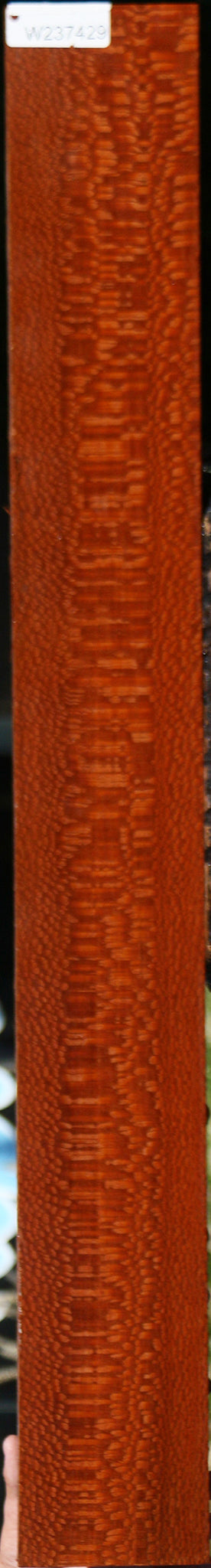 Extra Fancy Leopardwood Lumber