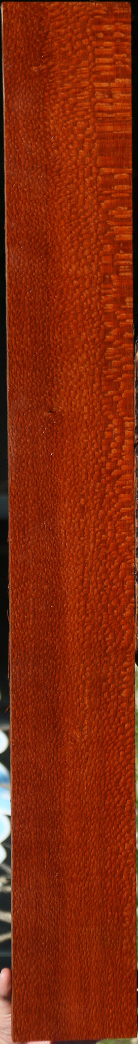 Extra Fancy Leopardwood Lumber