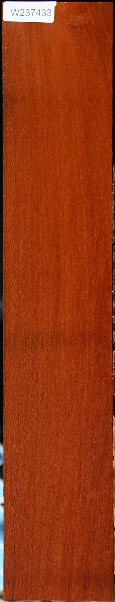 Leopardwood Lumber