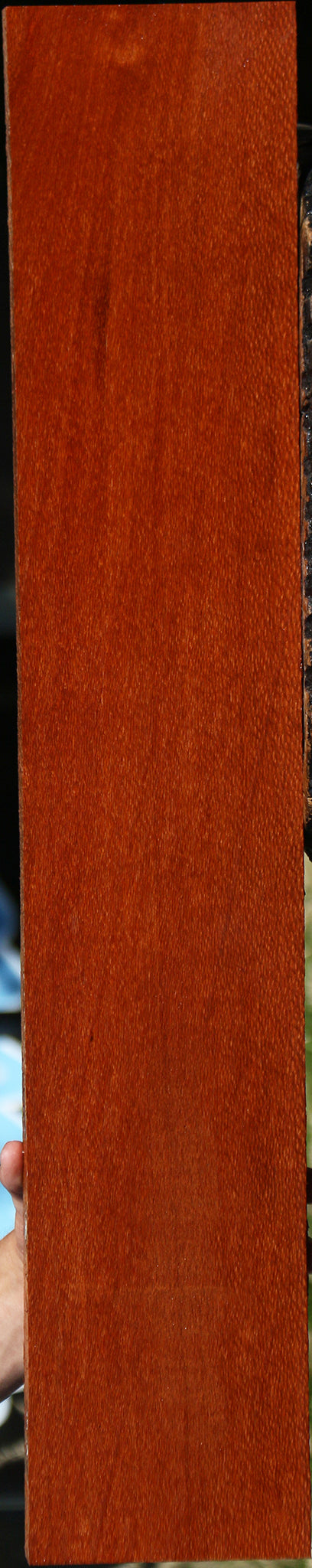 Leopardwood Lumber