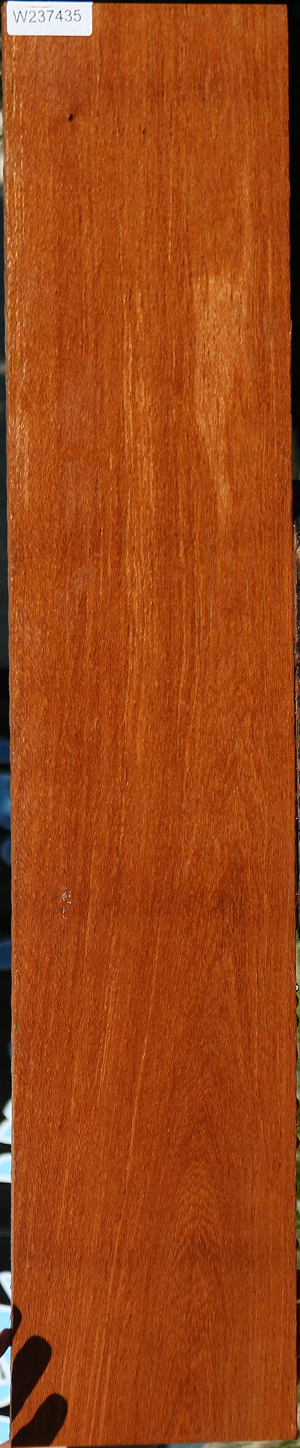Leopardwood Lumber