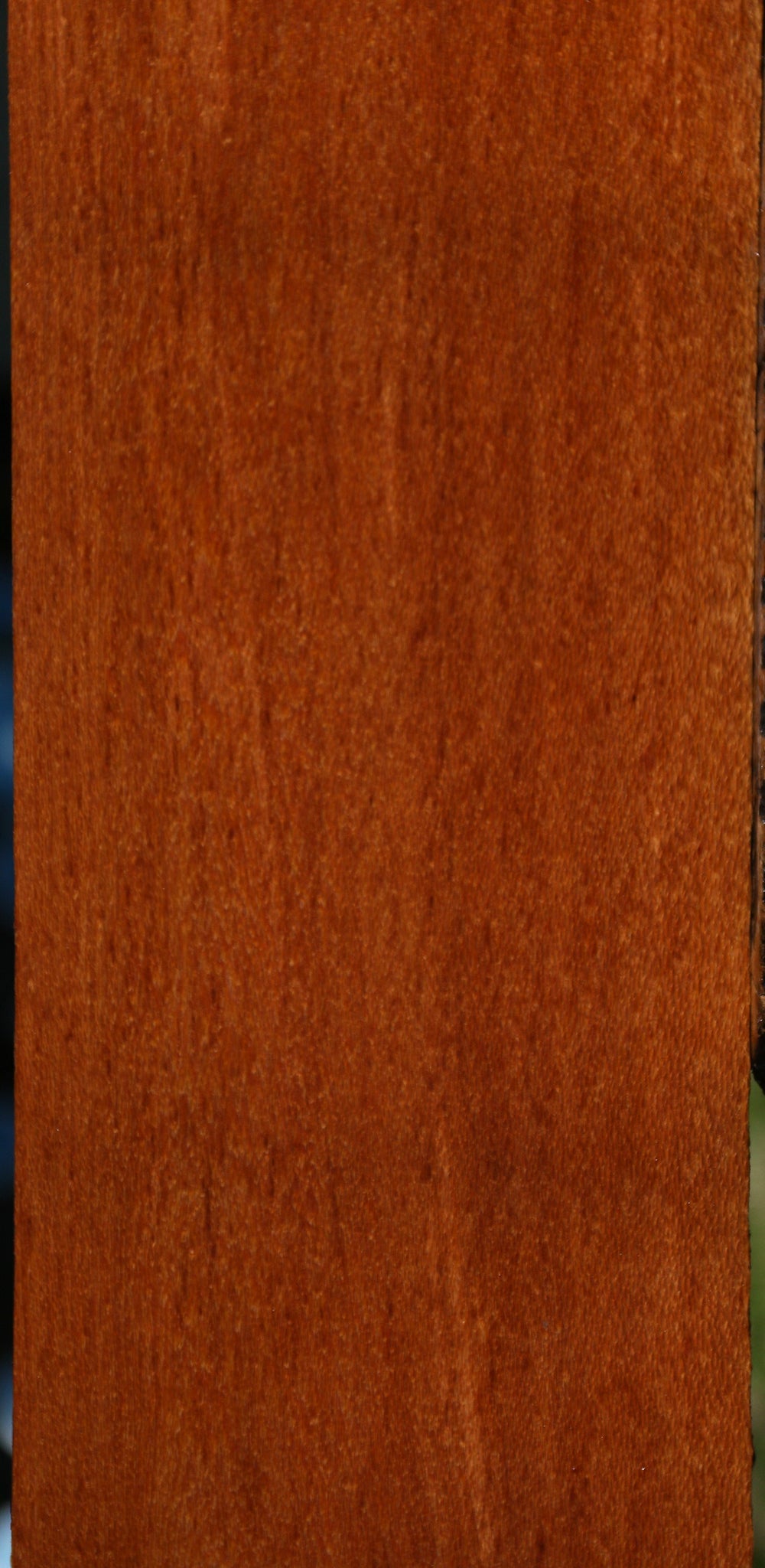 Leopardwood Lumber