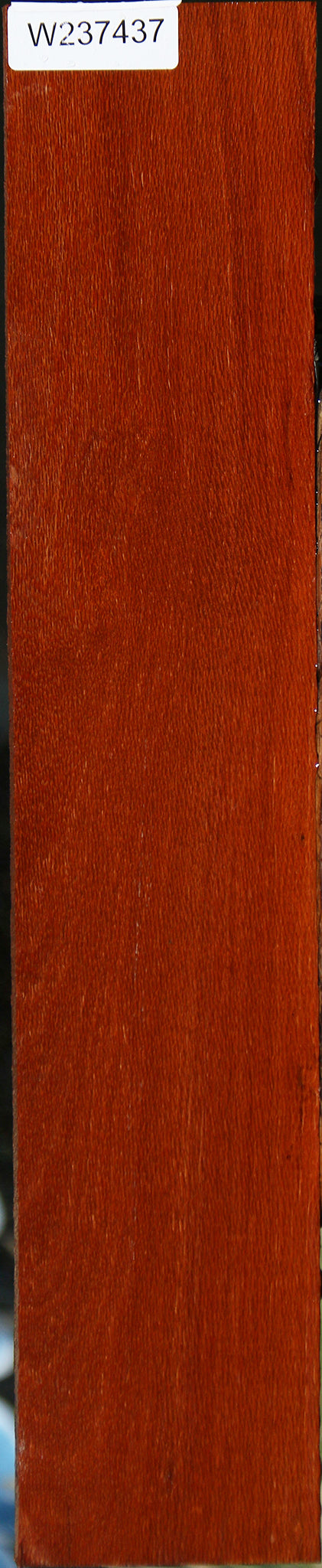 Leopardwood Lumber