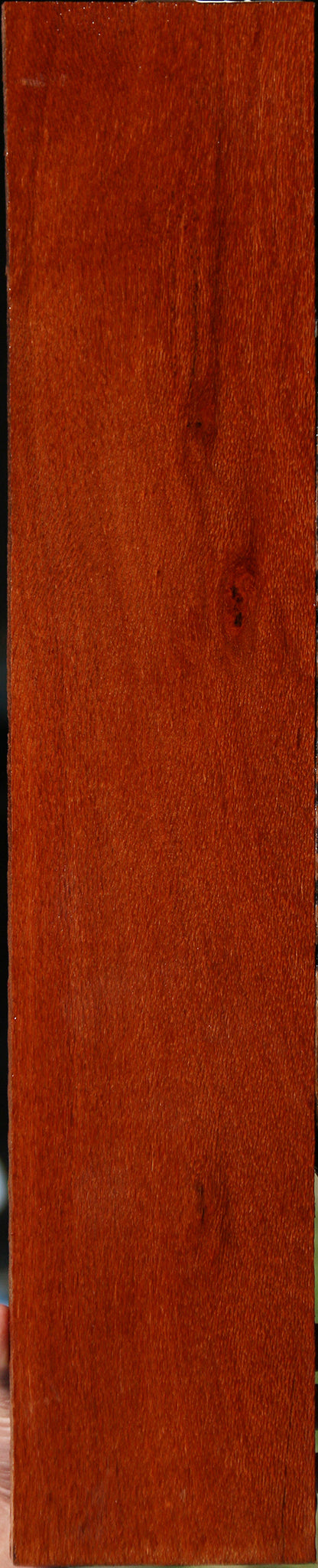 Leopardwood Lumber