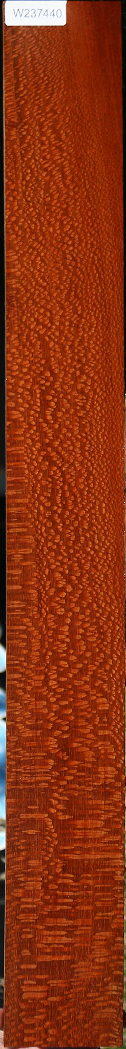 Extra Fancy Leopardwood Lumber