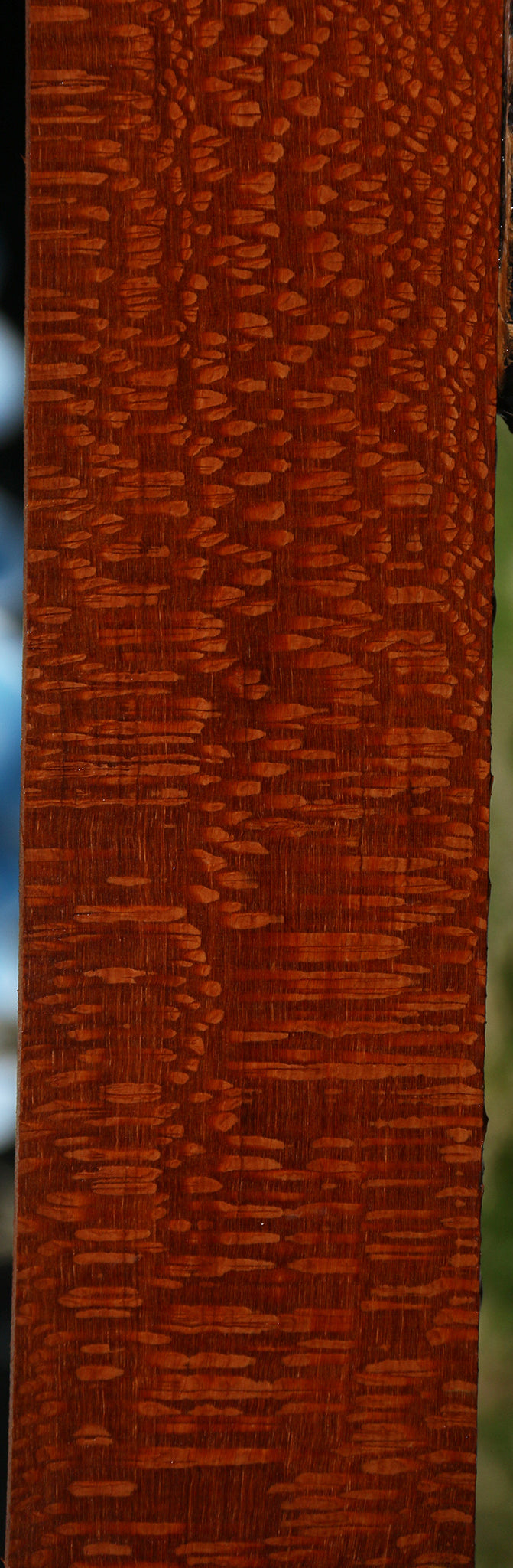 Extra Fancy Leopardwood Lumber