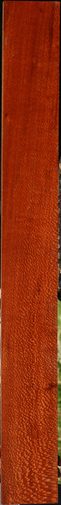 Extra Fancy Leopardwood Lumber